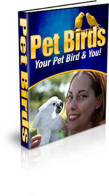 Product picture Pet Birds - Your Pet Bird & You! - With MRR!